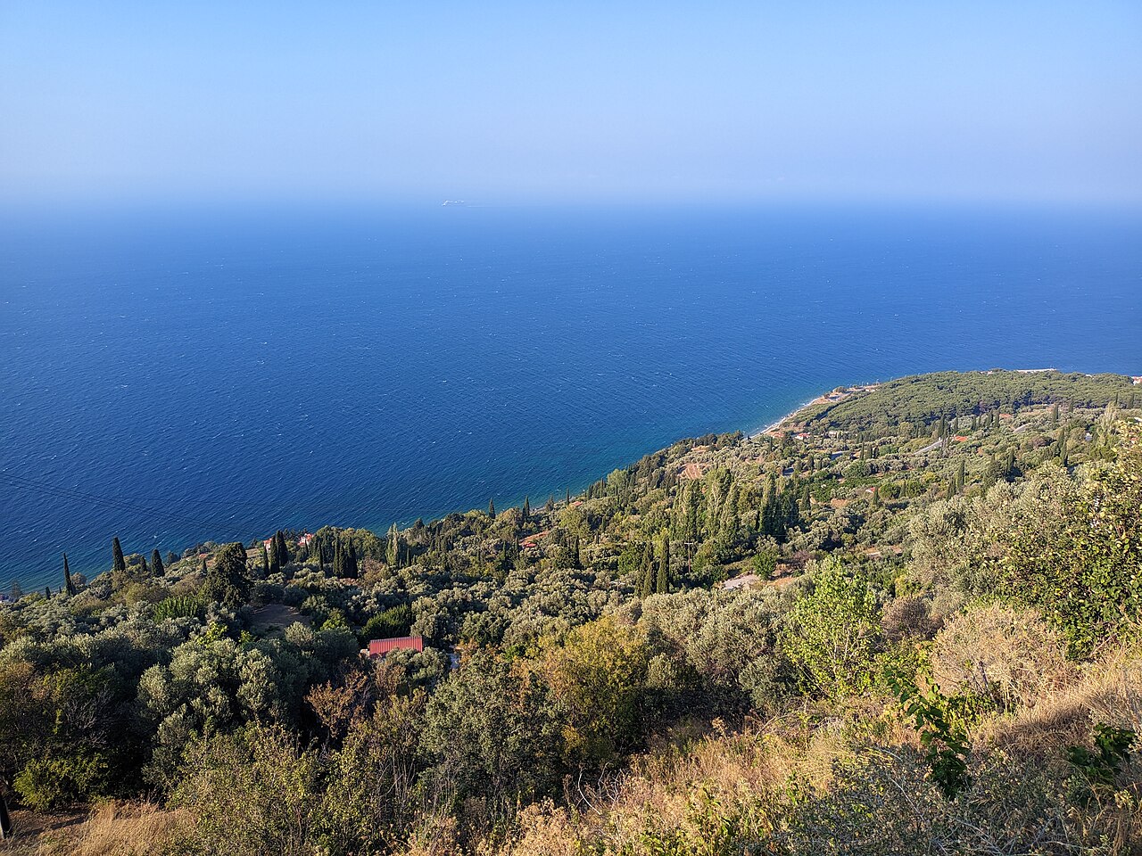 Άμπελος