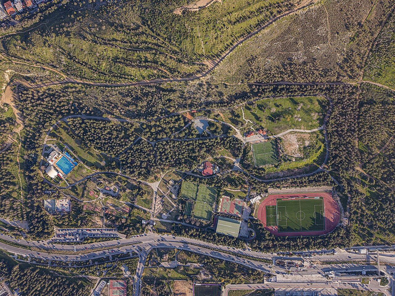 Alsos Veikou (Galatsi Grove)