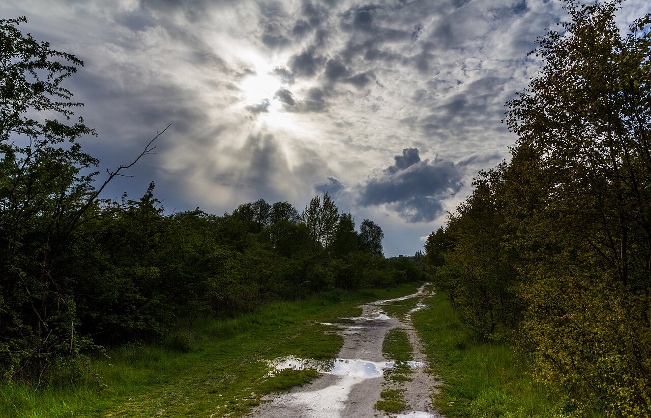 Amager Common