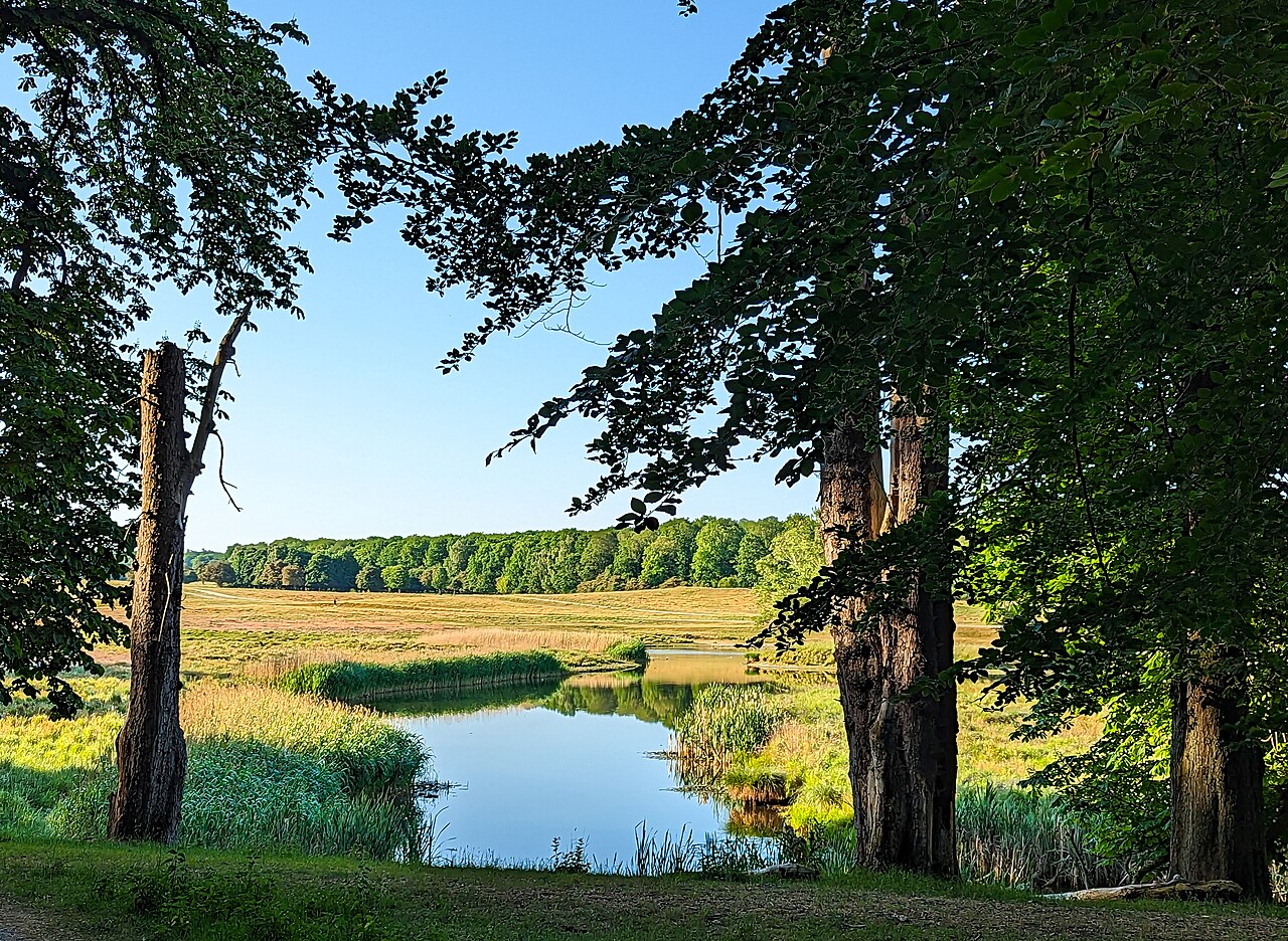 The Deer Park