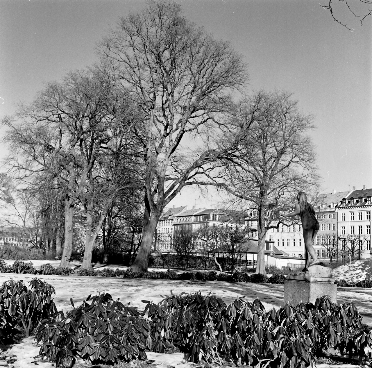 The King's Garden