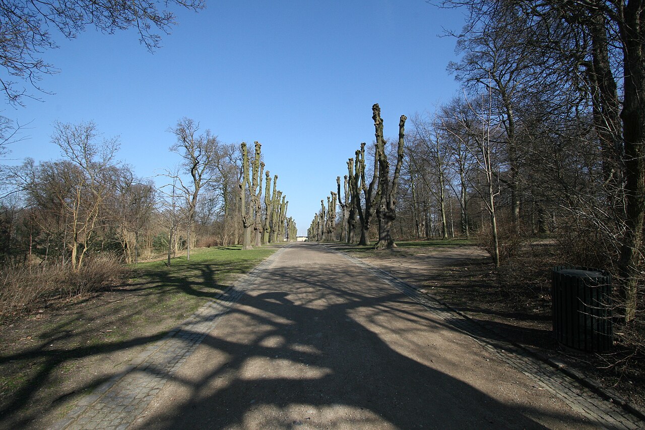 Søndermarken