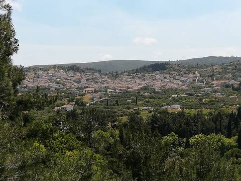 Μυτιληνιοί